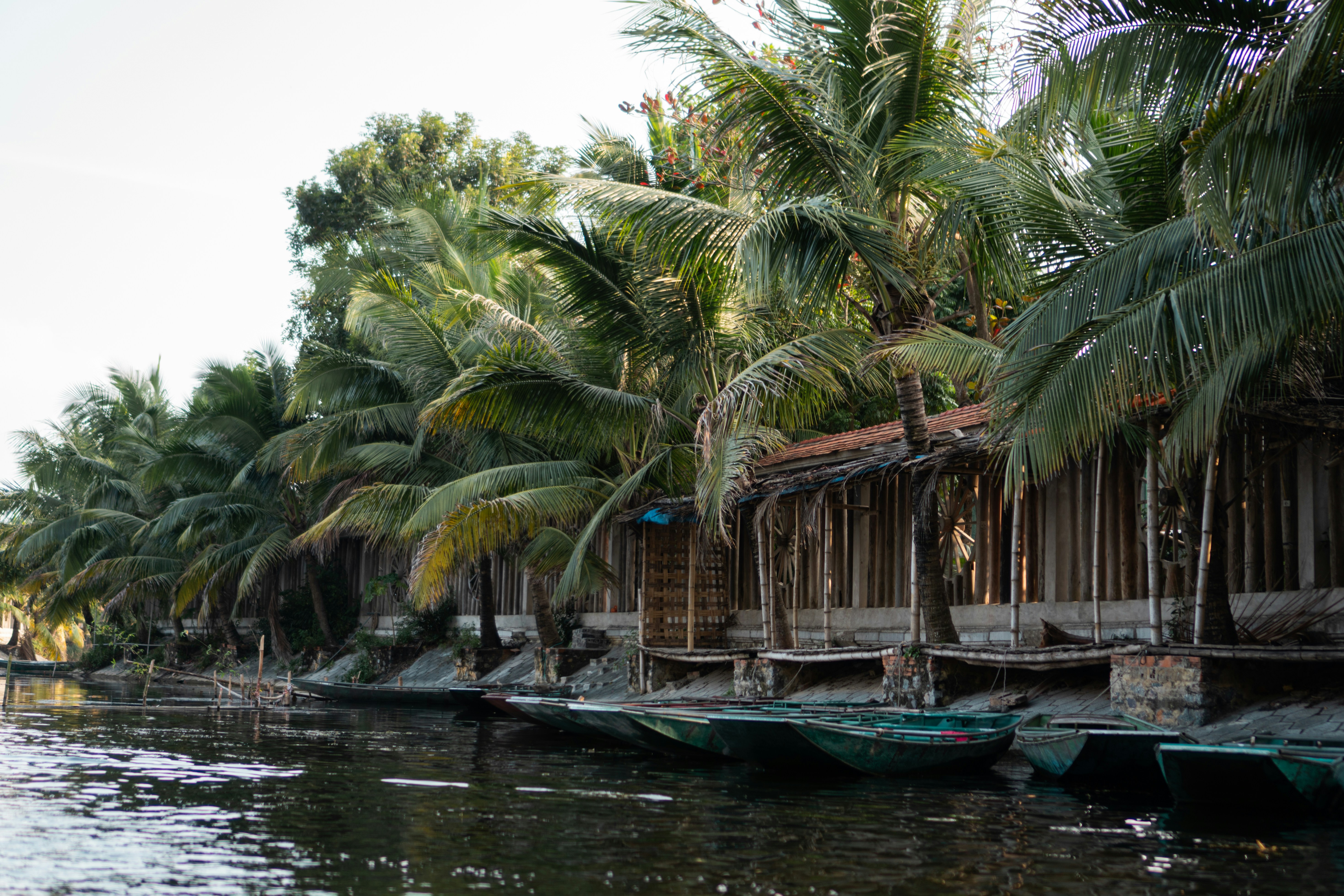 Photo by sushant_vohra