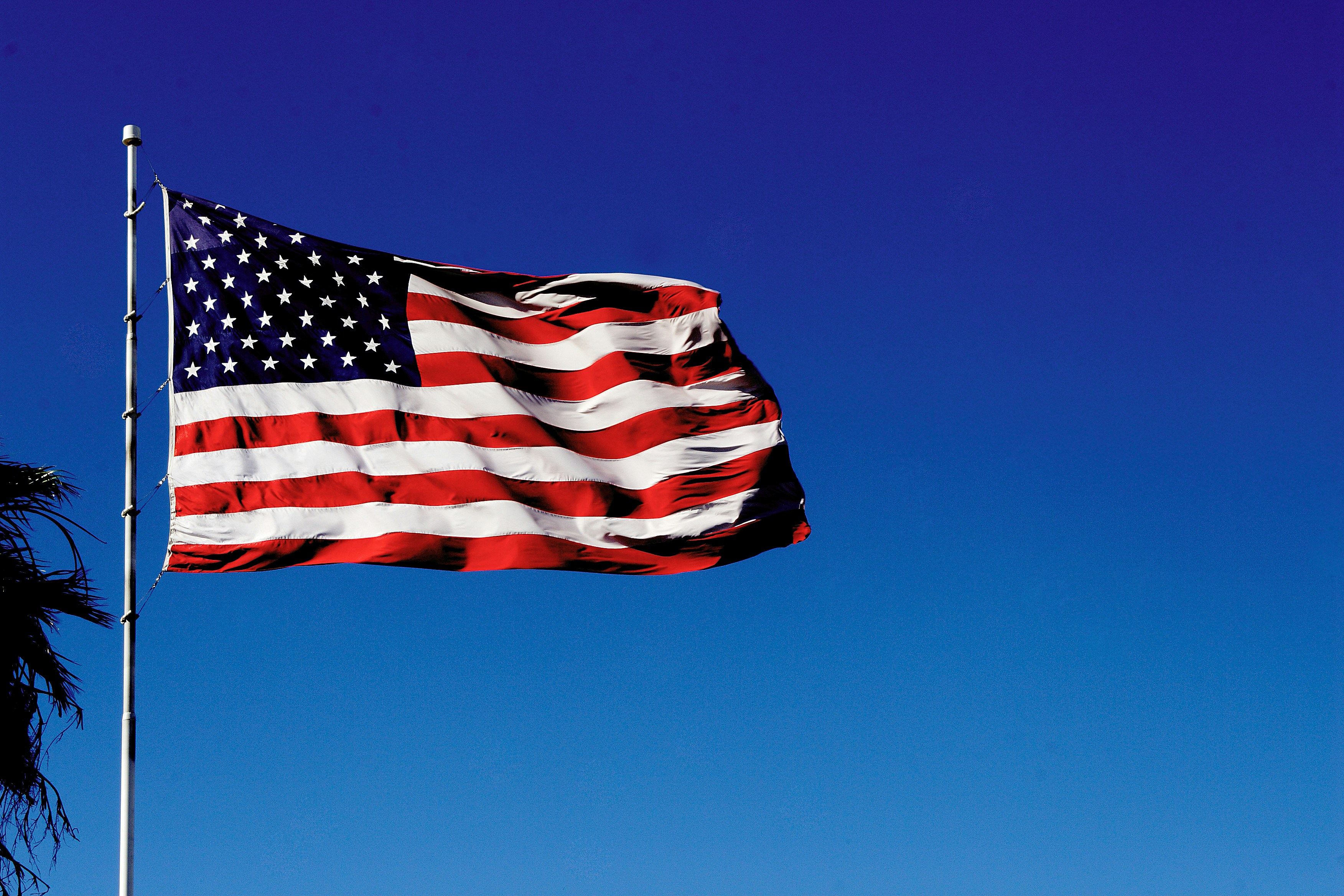 Photo by mpphotomedia