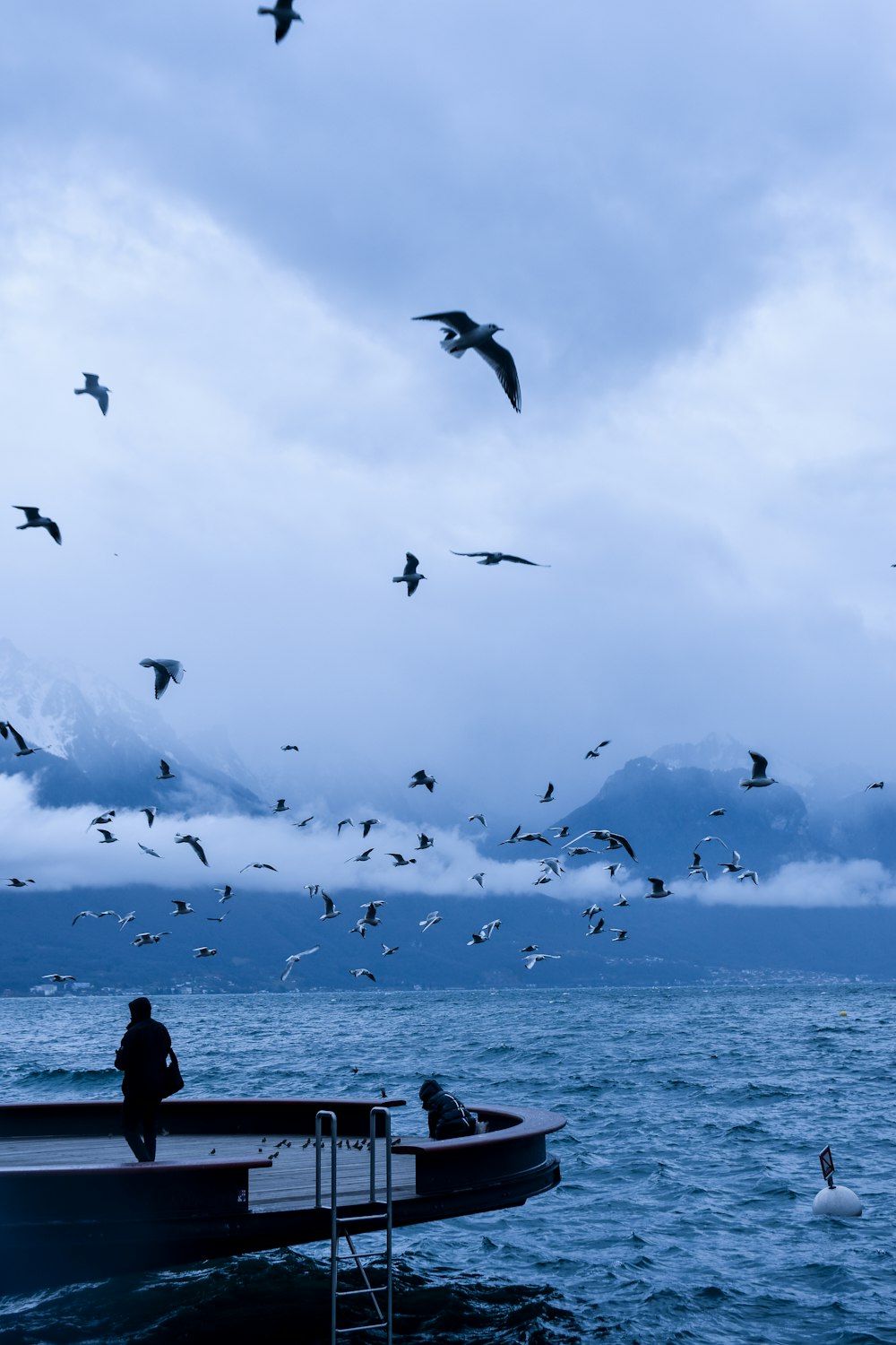 silueta de la gente en la playa con los pájaros que vuelan durante el día