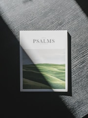 Cover art of the album 'Psalms in Blues: The Beginning'.