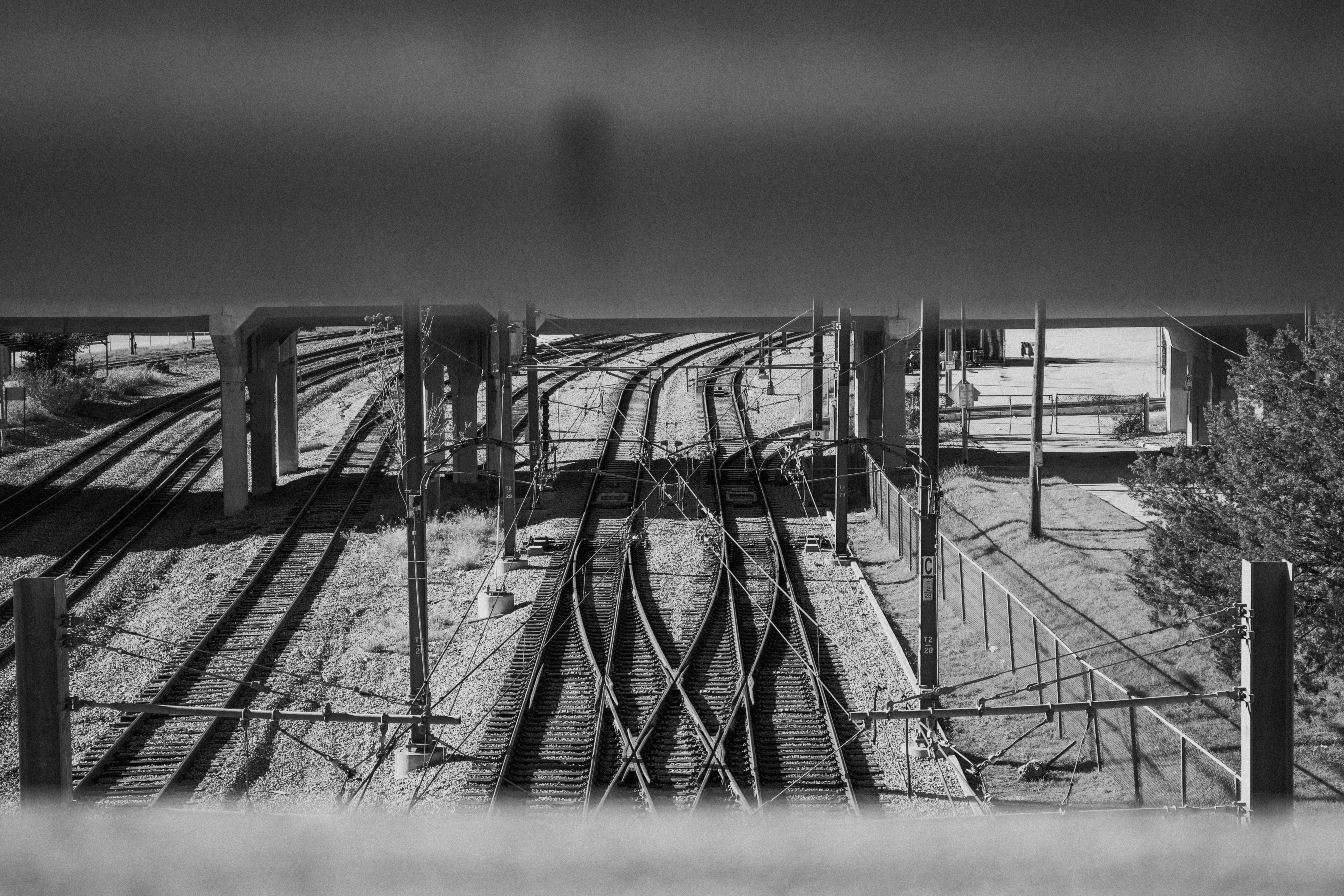 Homes For Sale in Love Field, Love Field Home Search