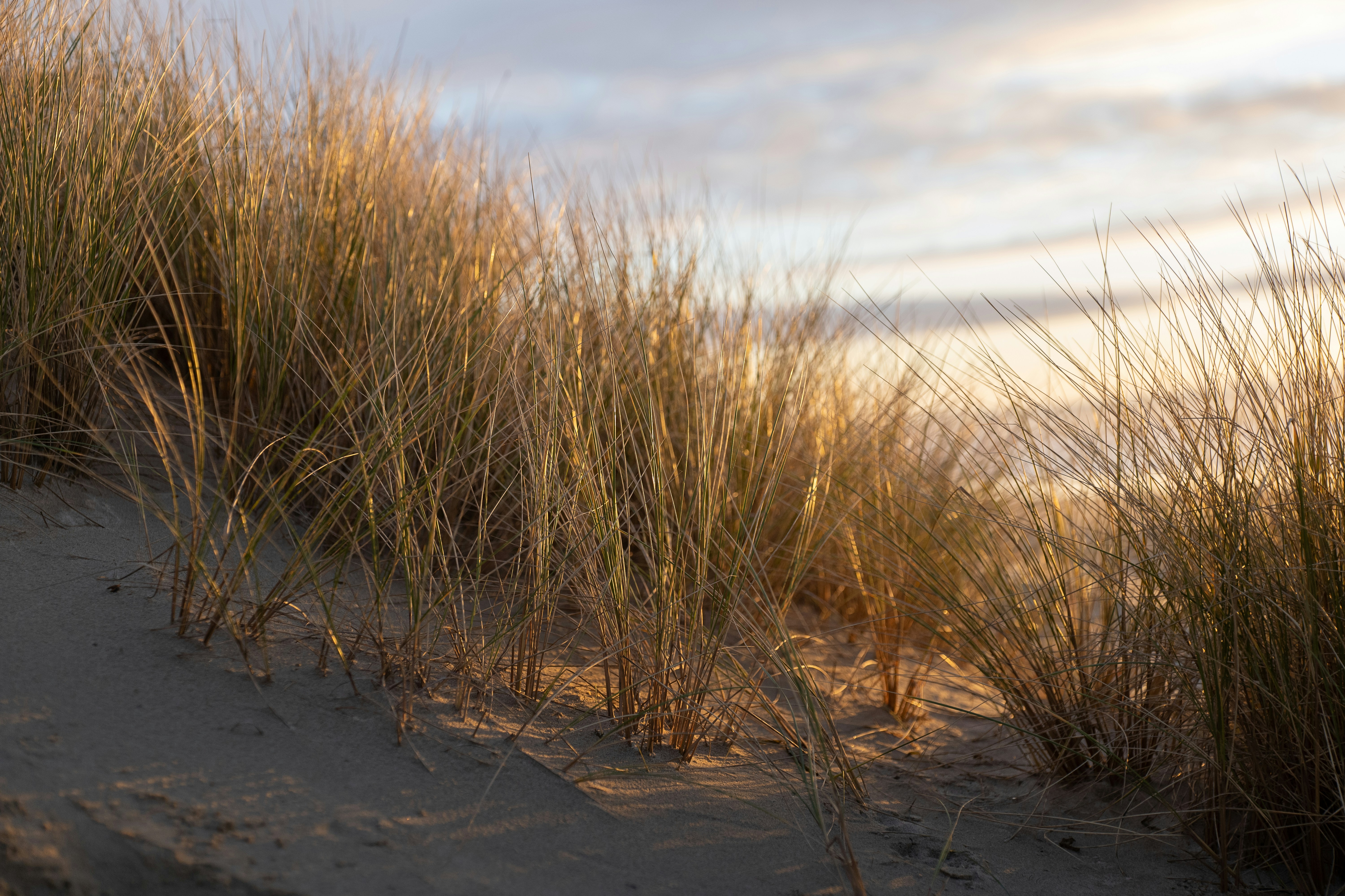 Photo by joshlmiller