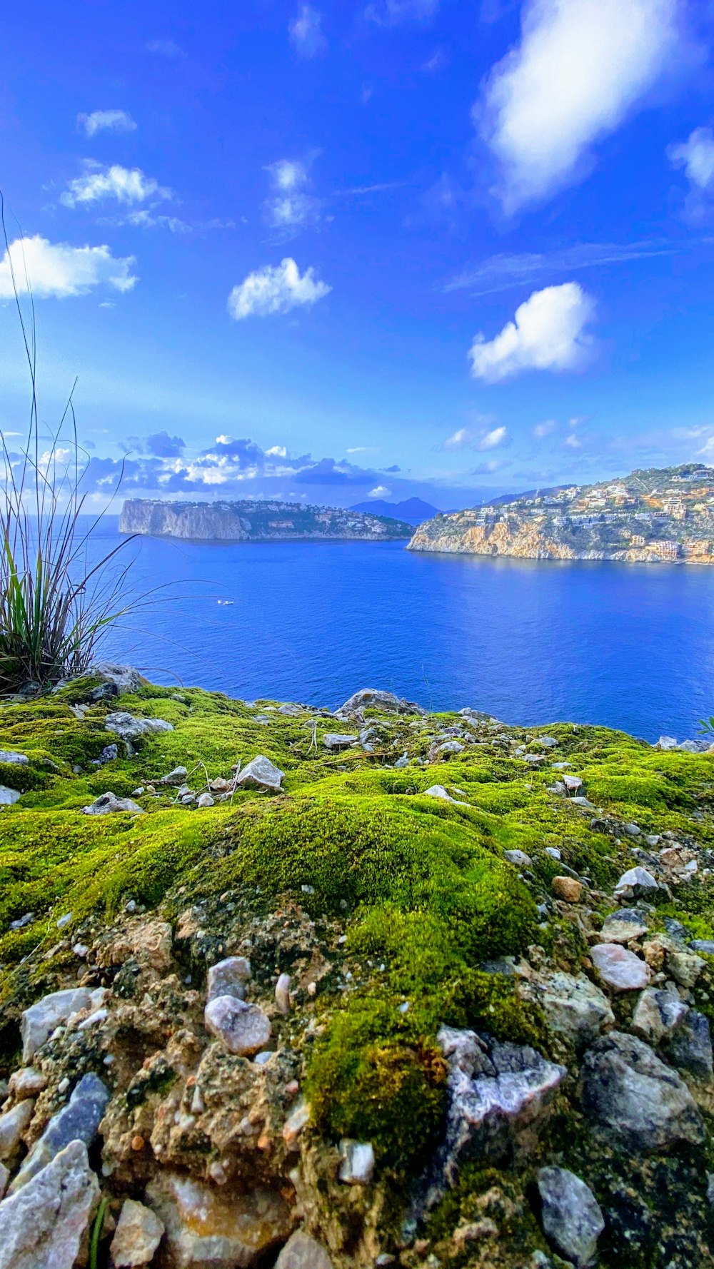 green grass field near body of water during daytime