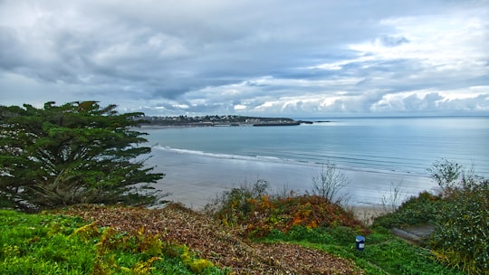 green grass near body of water under cloudy sky during daytime in Pointe de la Garde France