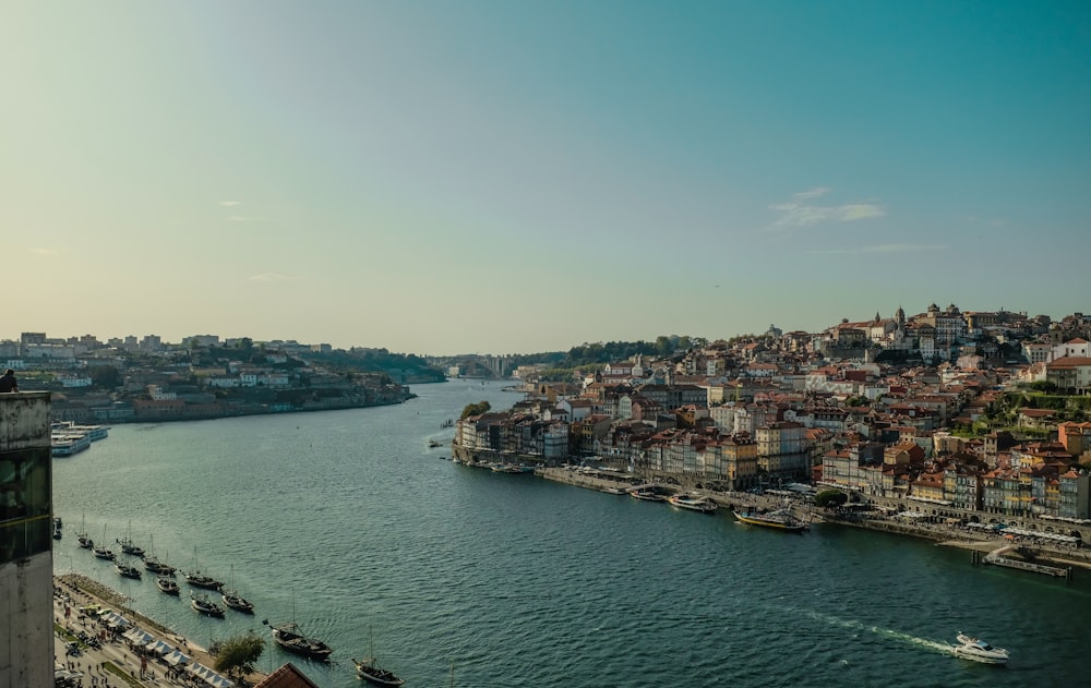 city buildings near body of water during daytime