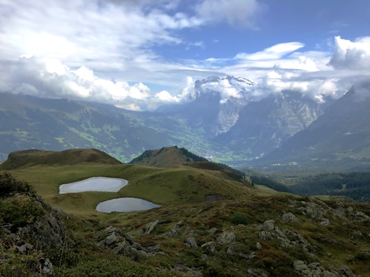 green and brown mountains under white clouds and blue sky during daytime in Männlichen Switzerland