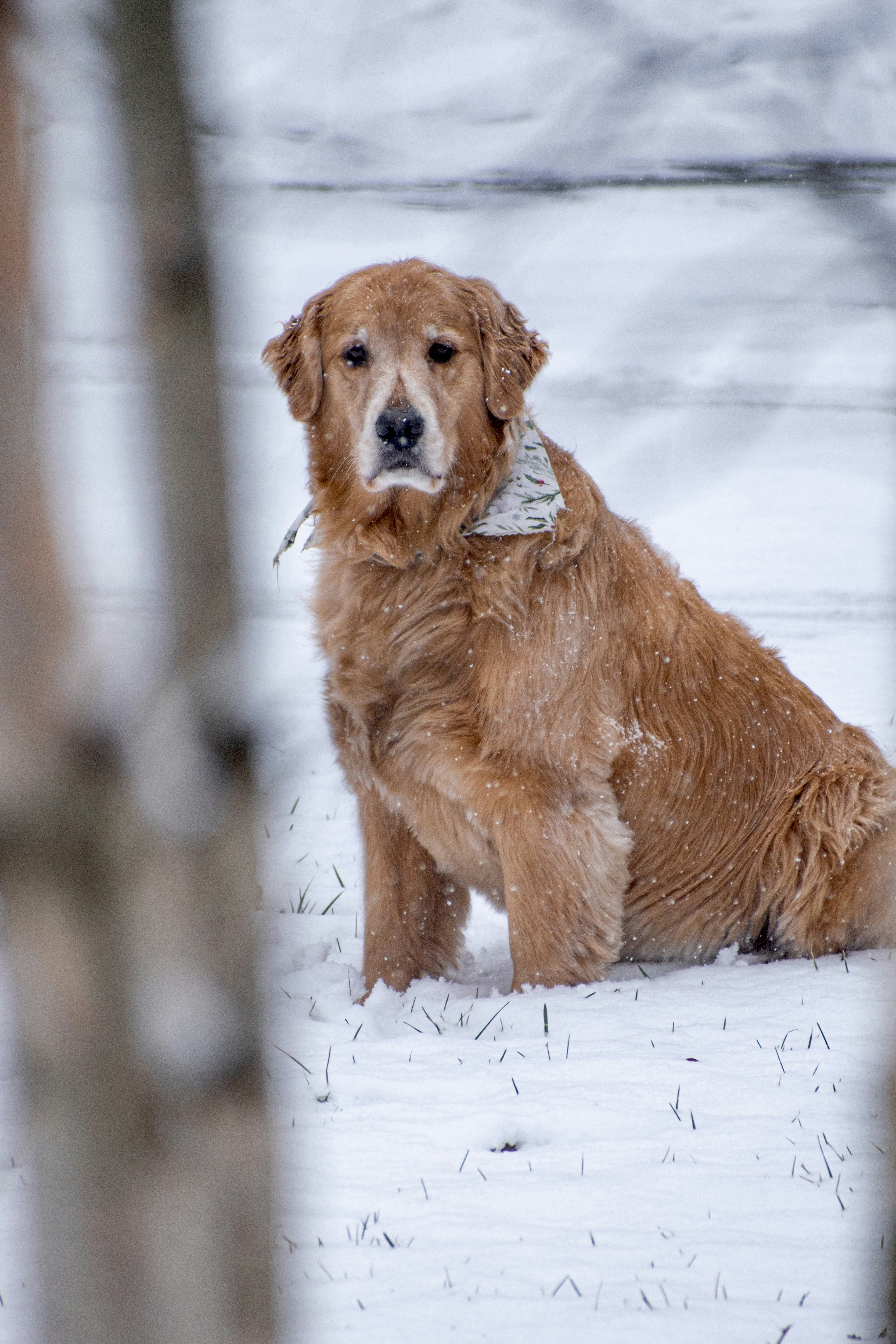 Photo by rorylindholm