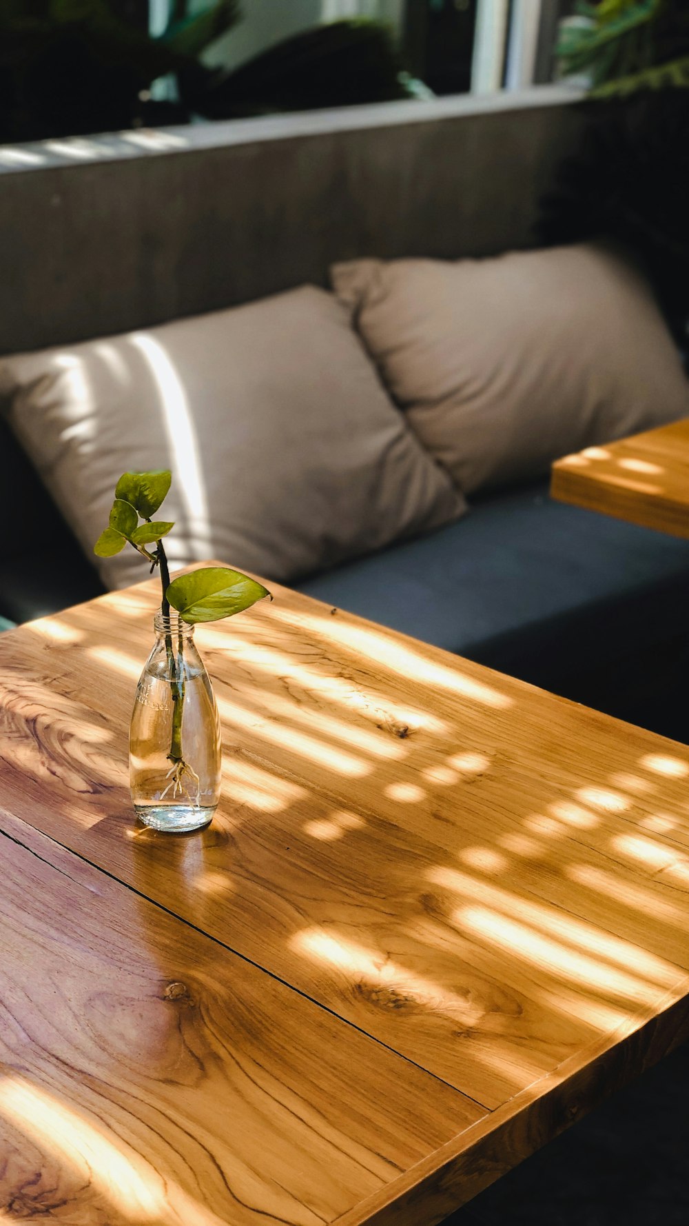 茶色の木製のテーブルの上の透明なガラスの花瓶に緑のバラ