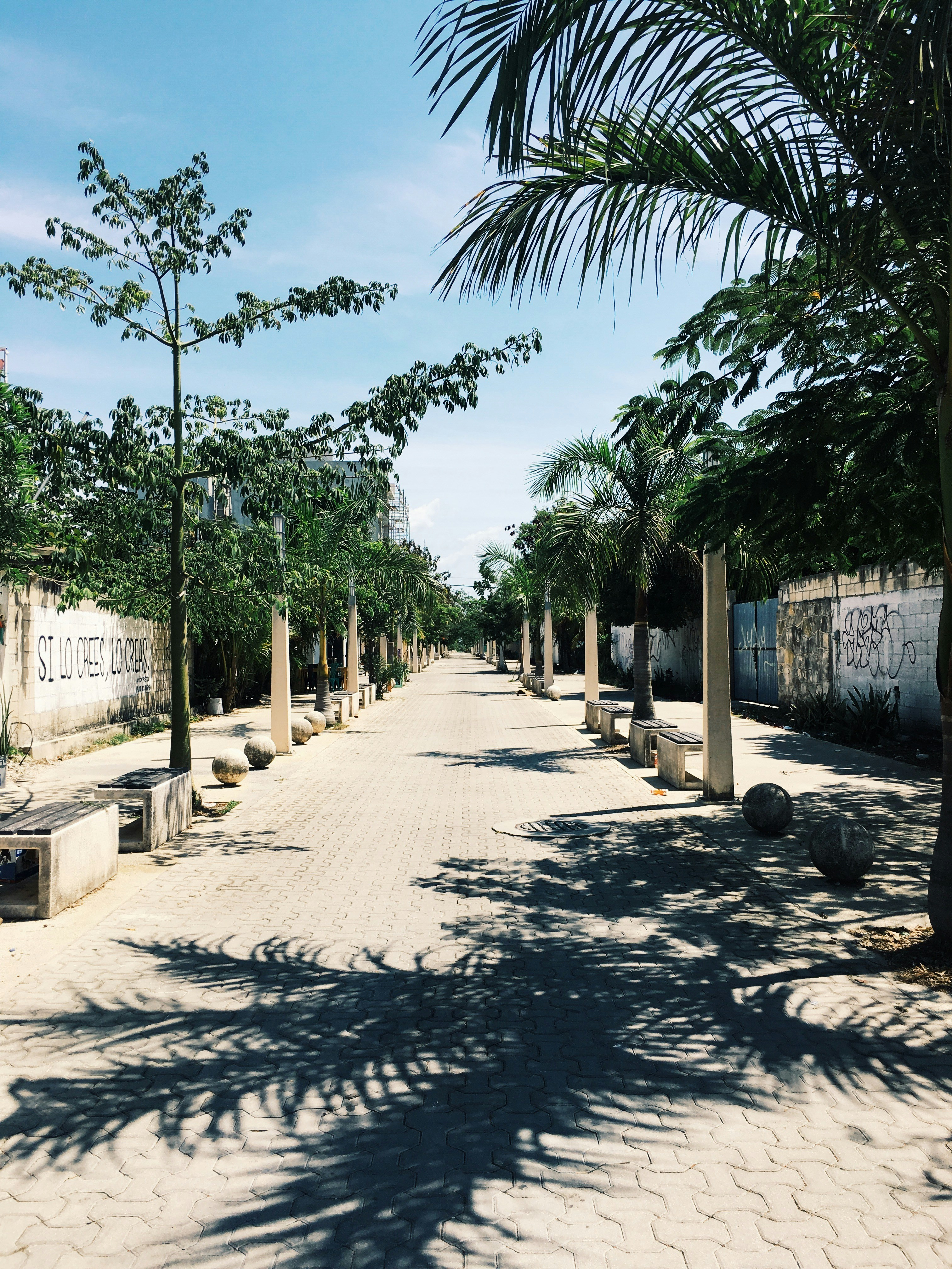 Playa del Carmen travel photo