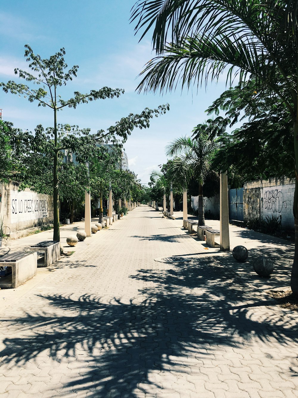 green palm trees near brown concrete building during daytime