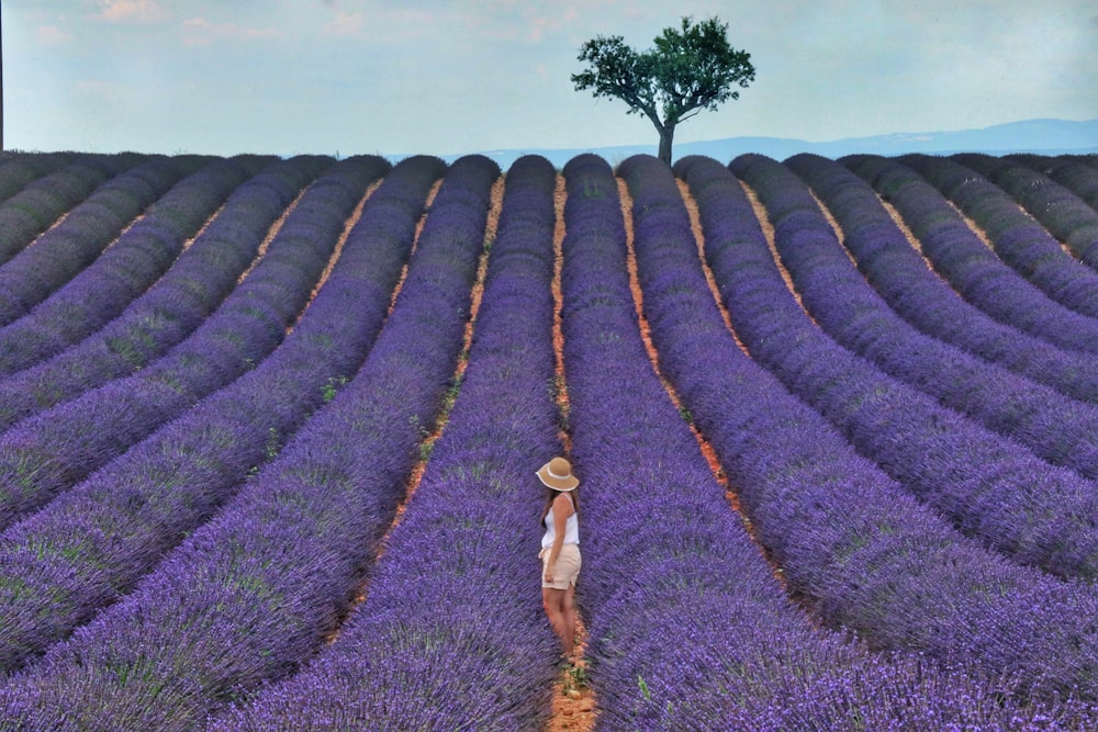 woman in white shirt and brown skirt standing on purple flower field during daytime