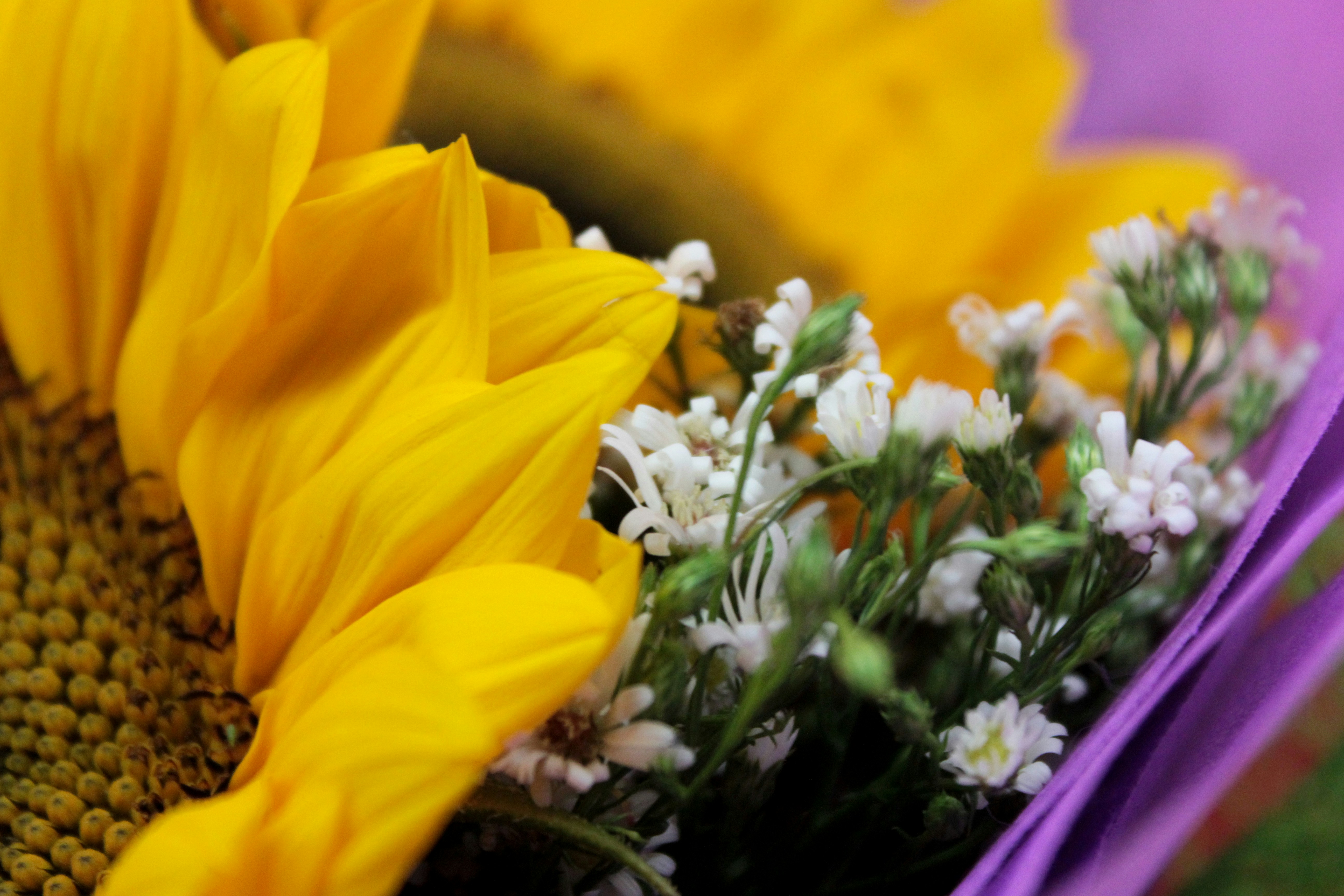 「何を観る？」に花で答える：推し活トップピックを季節の花で選ぶ新スタイル