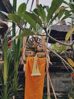A traditional Balinese offering is placed outdoors, surrounded by tropical plants. The offering basket contains various items like flowers and fruits, set on a stand with orange and yellow fabric draped beneath. The background features greenery and a wooden structure with a thatched roof.