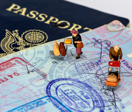 A friendly travel agent assisting a client with visa documents in a bright office.