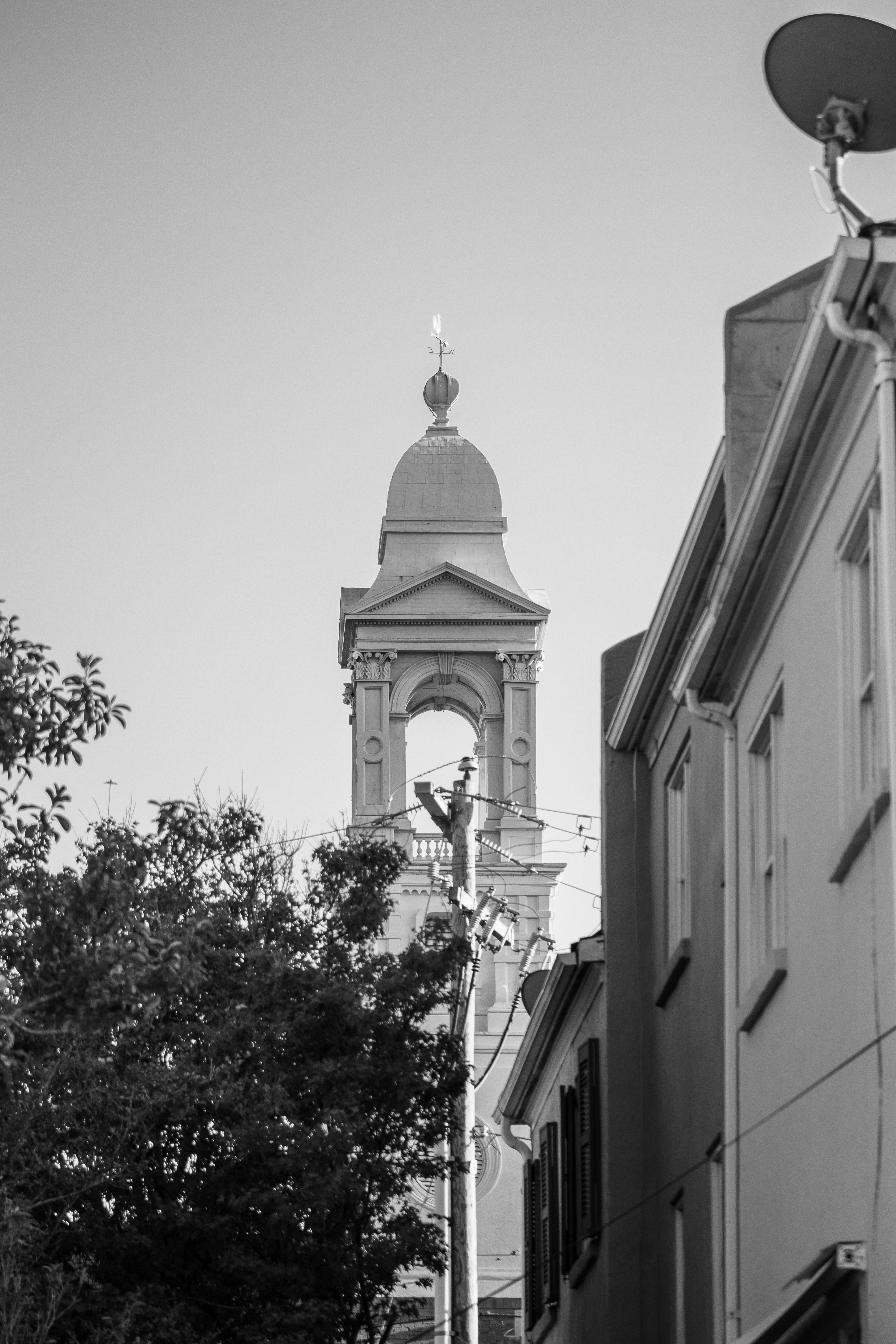 Photo by trentpalmer