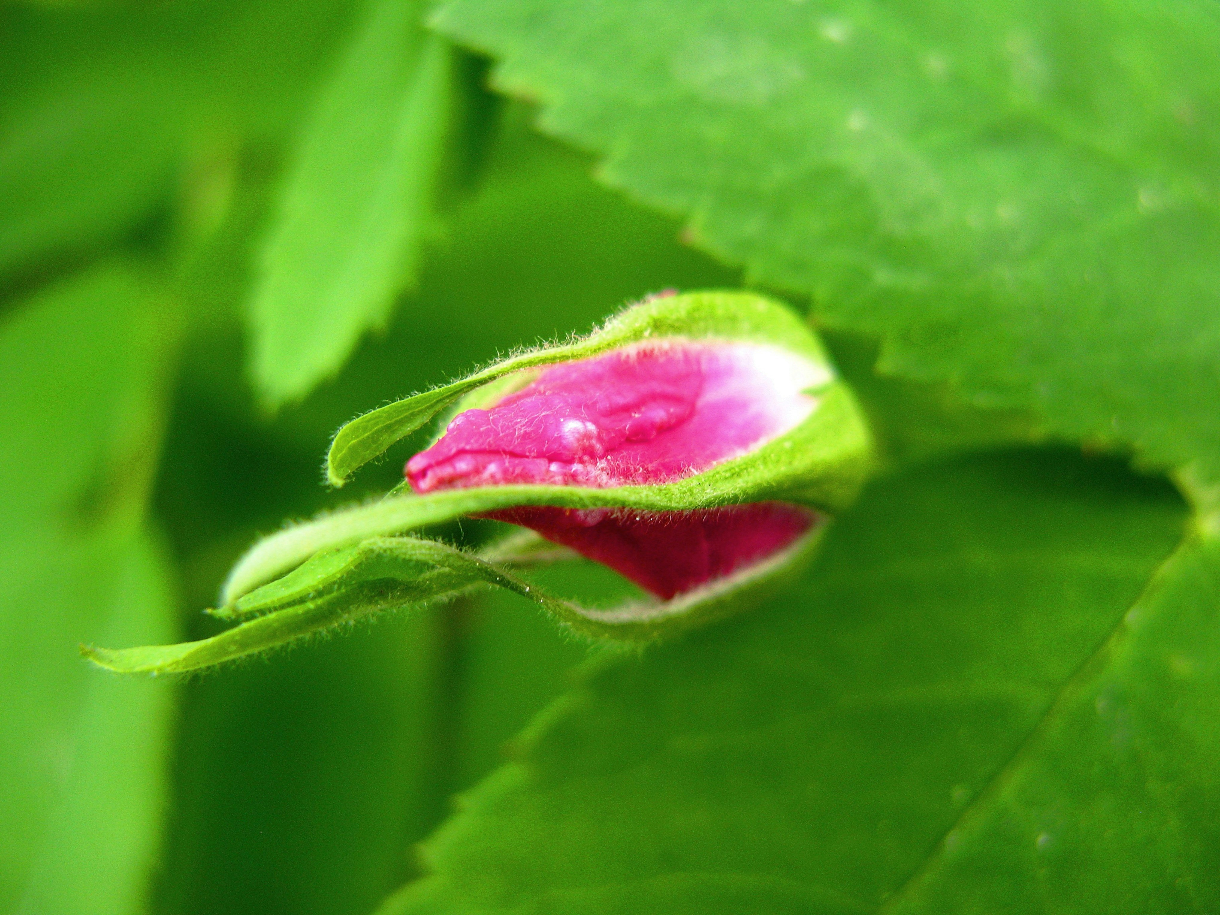 Photo by arozwadowska