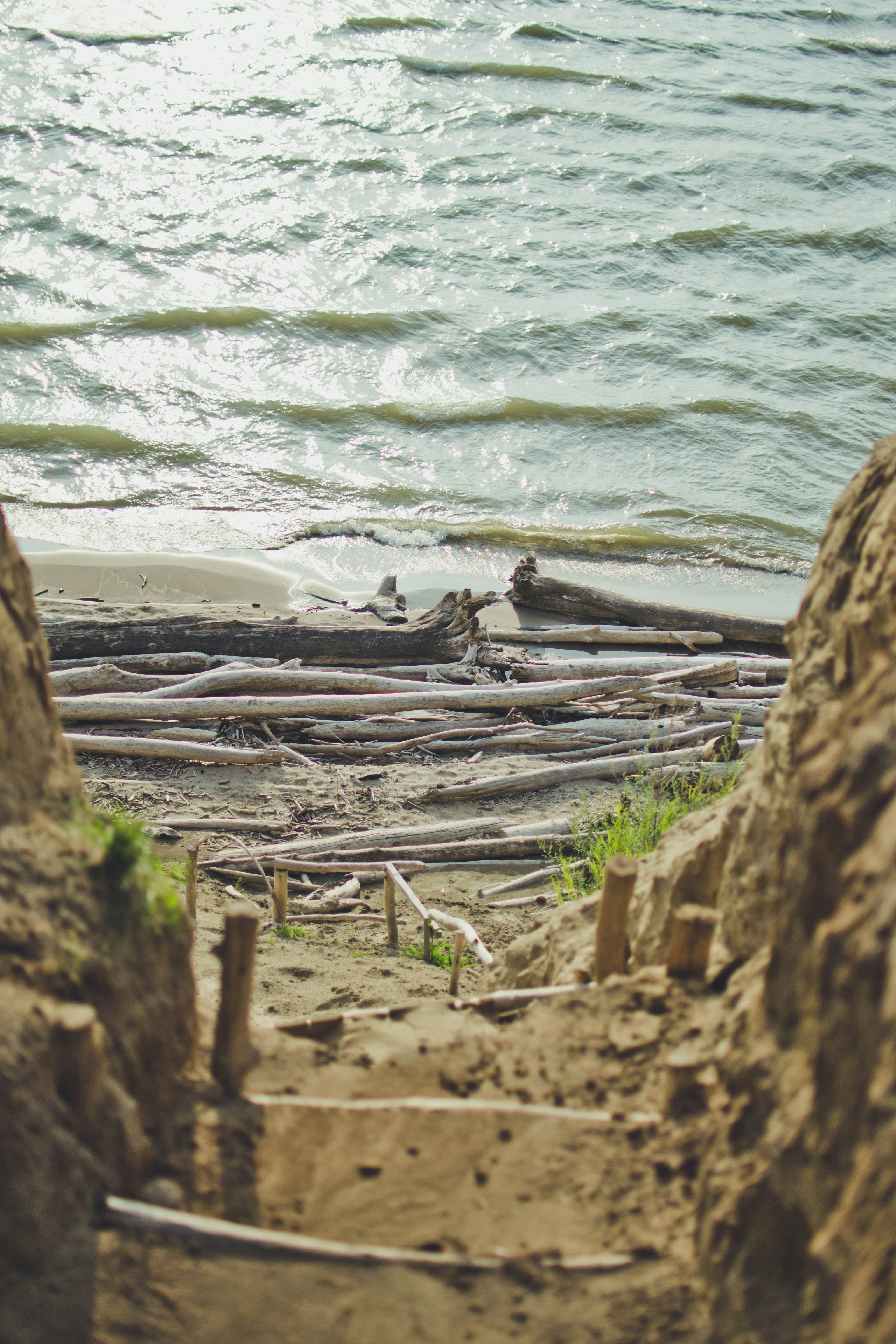 brown wood log on seashore during daytime