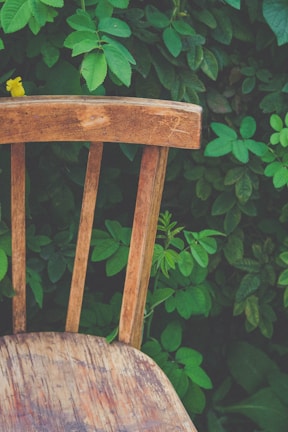 Close-up of a vibrant outdoor back chair cushion resting on a rustic wooden chair.