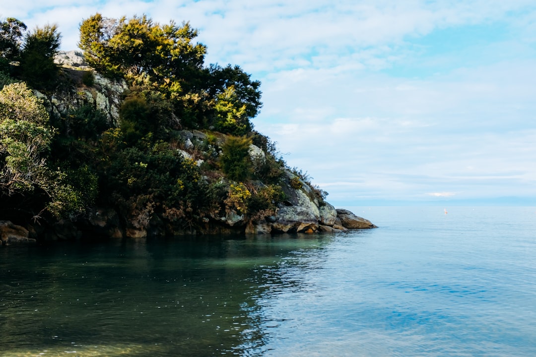 green trees on brown rock formation beside blue sea under blue sky during daytime