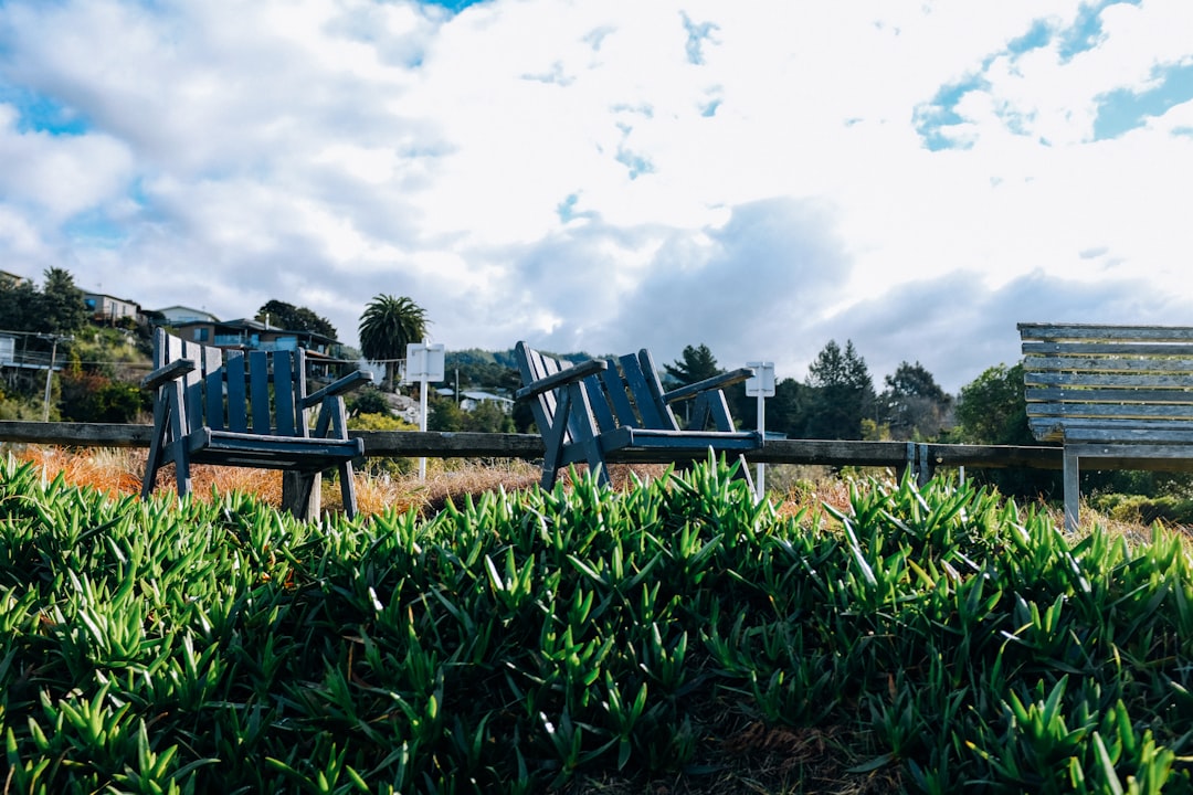 green wooden bench on green grass field during daytime