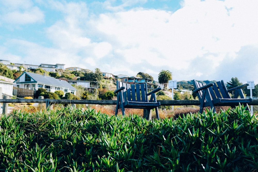 green wooden bench near green grass field during daytime