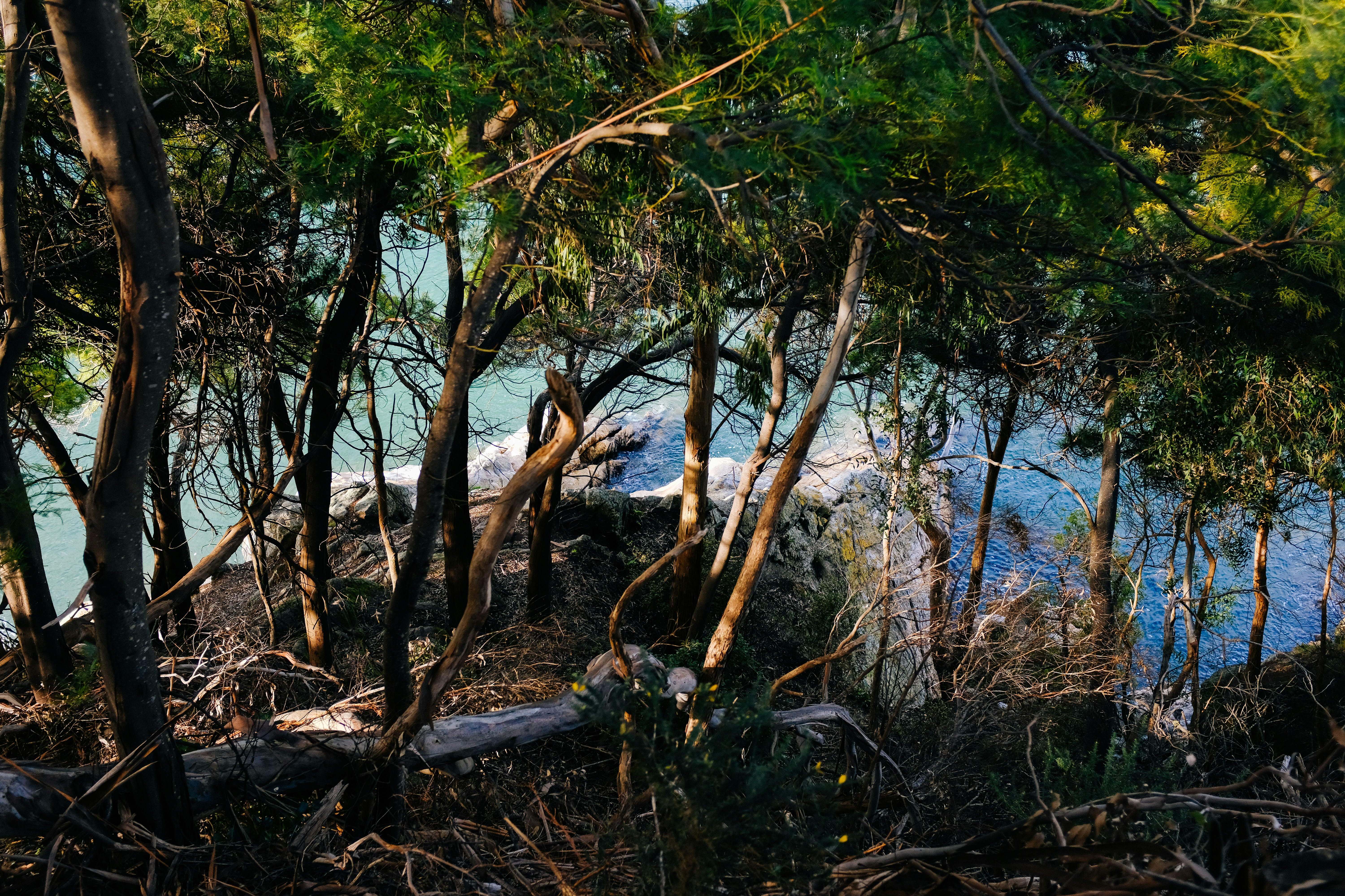 Photo by adrienolichon