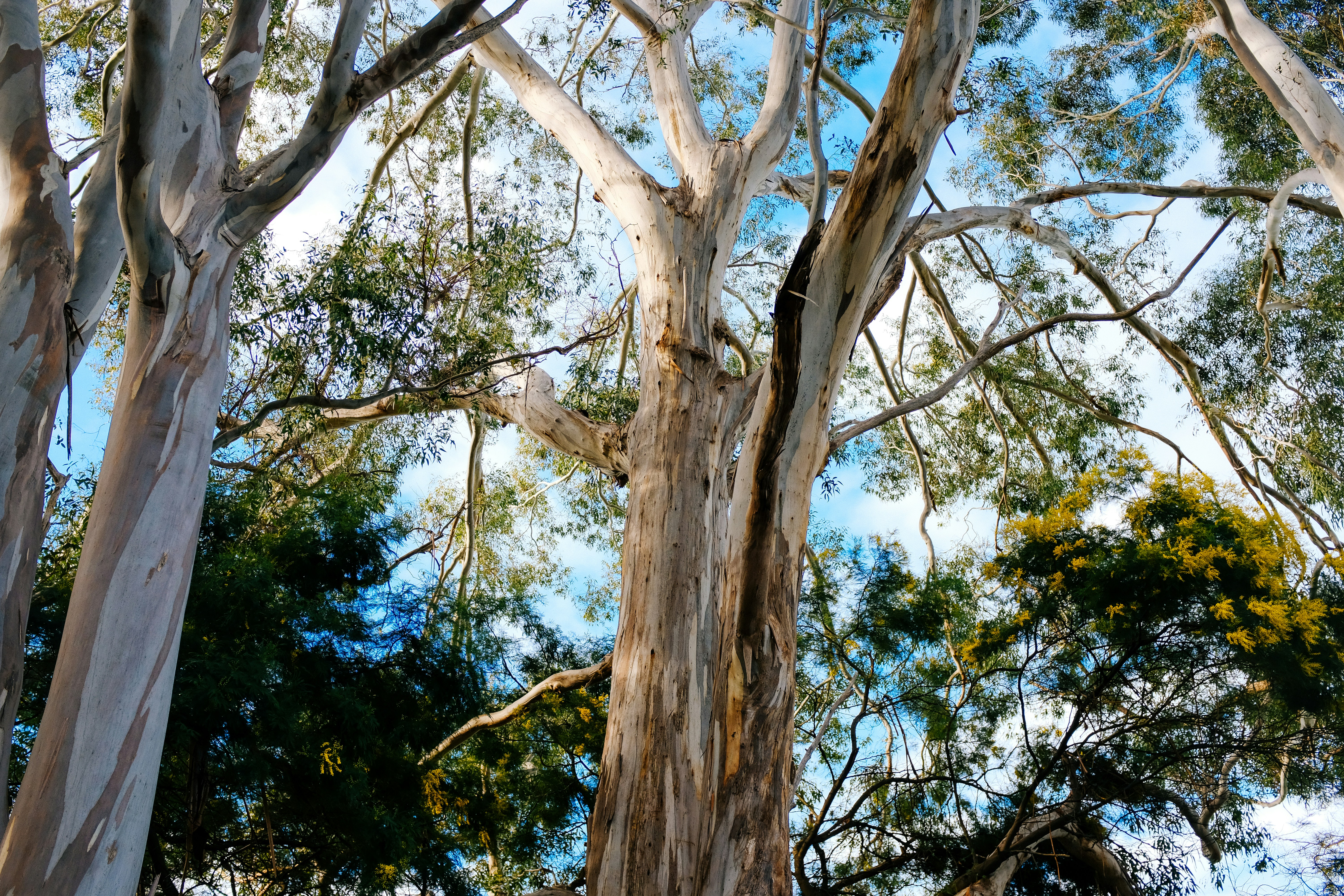 Photo by adrienolichon