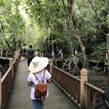 A group of people walking along a wooden boardwalk through a lush green forest. The person in the foreground is wearing a white hat and carrying a brown backpack. The dense foliage of the trees surrounds the path, and the atmosphere gives a sense of tranquility and exploration.