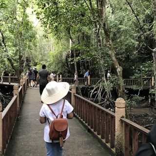 A group of people walking along a wooden boardwalk through a lush green forest. The person in the foreground is wearing a white hat and carrying a brown backpack. The dense foliage of the trees surrounds the path, and the atmosphere gives a sense of tranquility and exploration.