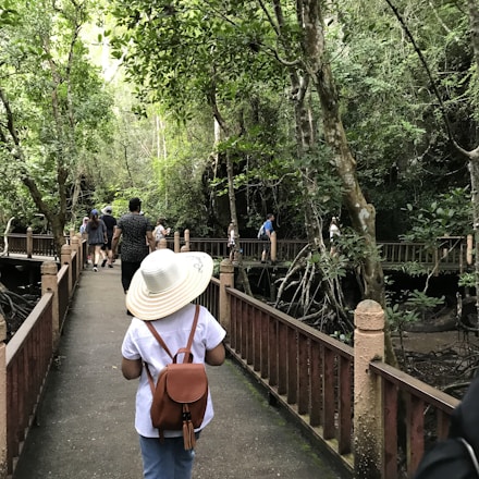 A group of people walking along a wooden boardwalk through a lush green forest. The person in the foreground is wearing a white hat and carrying a brown backpack. The dense foliage of the trees surrounds the path, and the atmosphere gives a sense of tranquility and exploration.