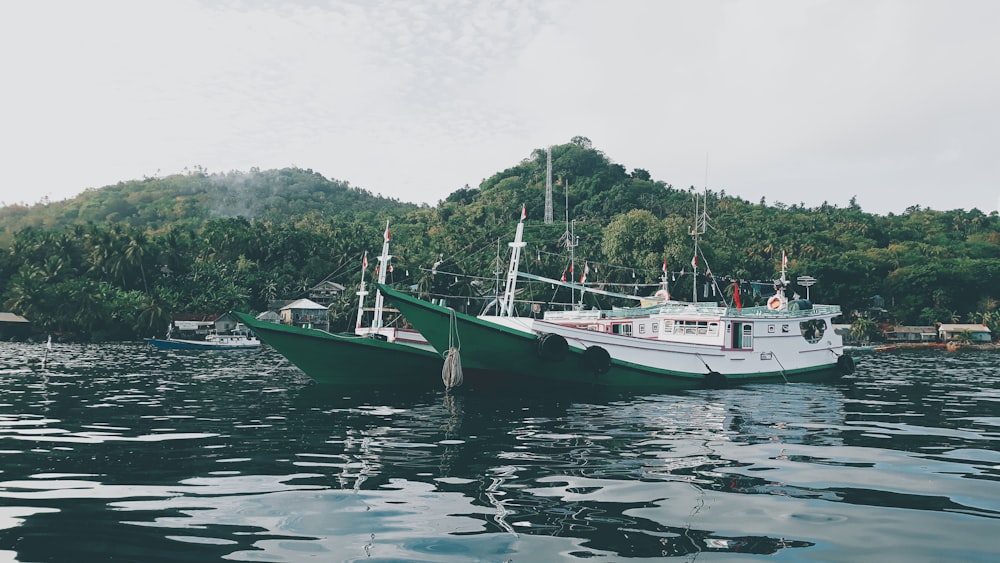 Barco blanco y verde en el agua durante el día