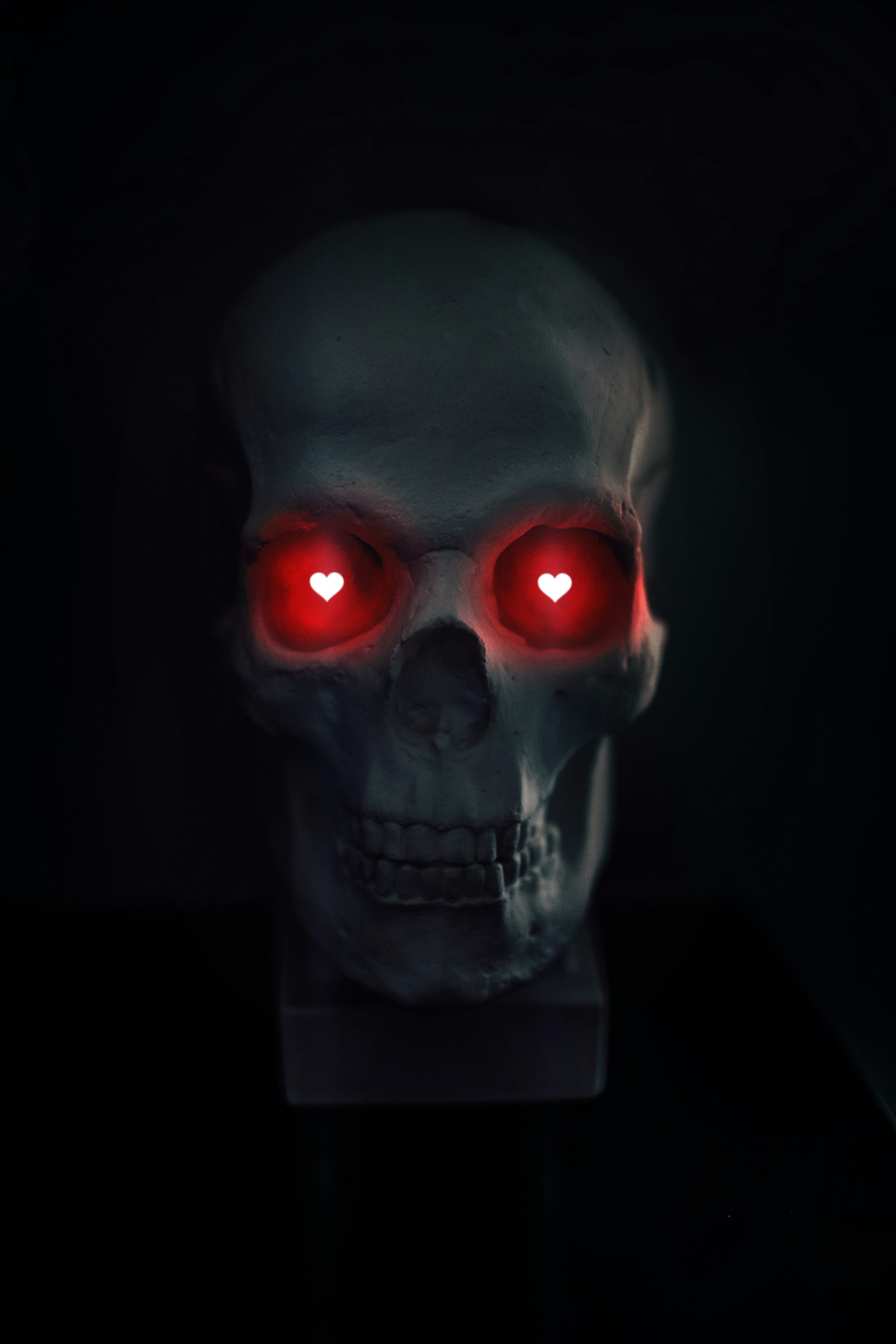 Nikon D850 + Sigma 35mm F1.4 DG HSM Art sample photo. Gray skull with red photography