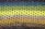 A close-up view of a knitted fabric showcasing rows of openwork stitch patterns. The yarns display a gradient of colors from blues at the top to greens and yellows in the middle, transitioning to browns and grays at the bottom. The texture of the knit is prominent, with the intricate interlocking loops forming a delicate yet vibrant surface.