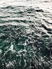 The image features a vast expanse of ocean water with visible waves and white foamy crests on the surface.