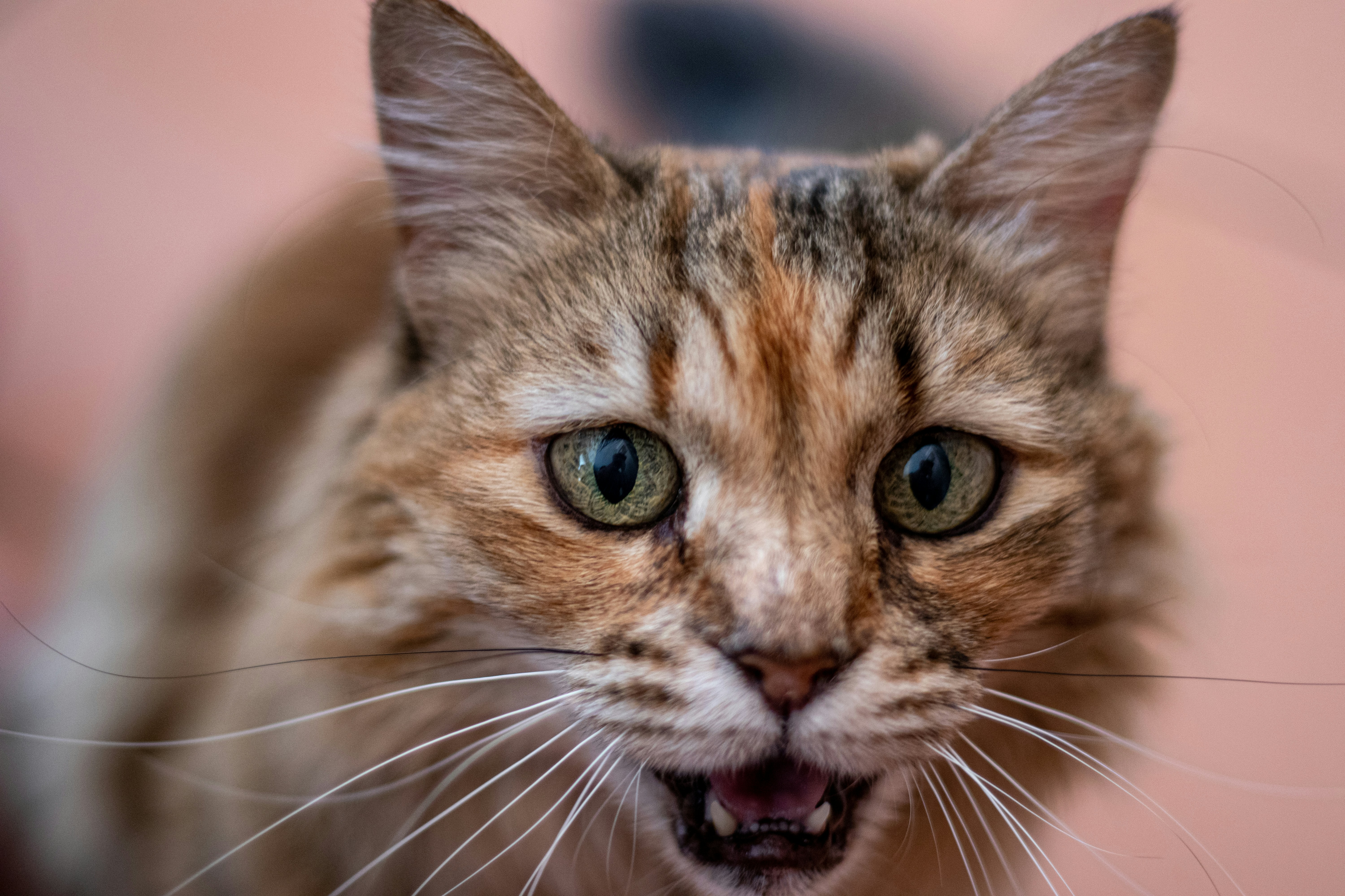 Photo by jarrodvw_photography