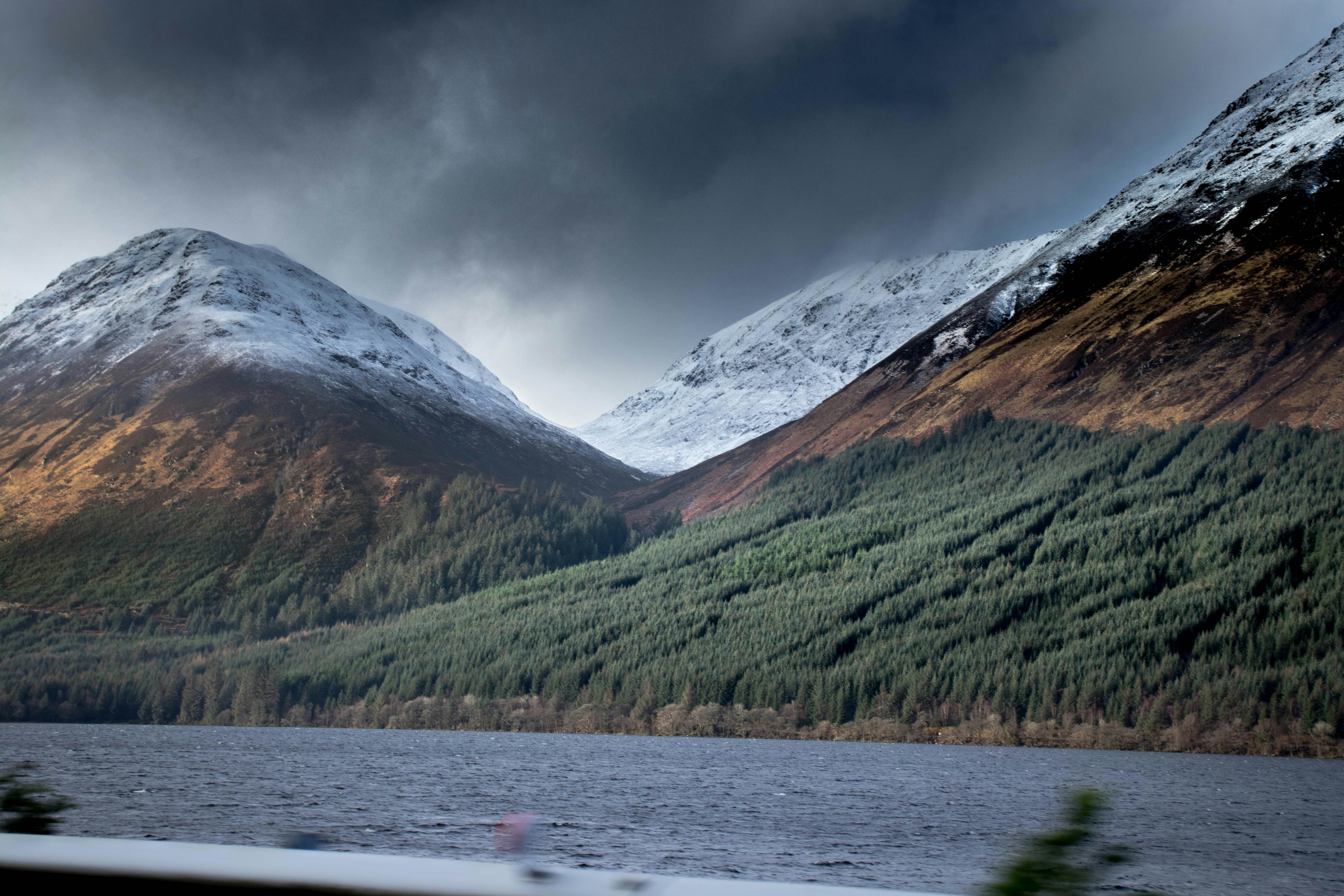 green trees near lake and mountain under white clouds, 