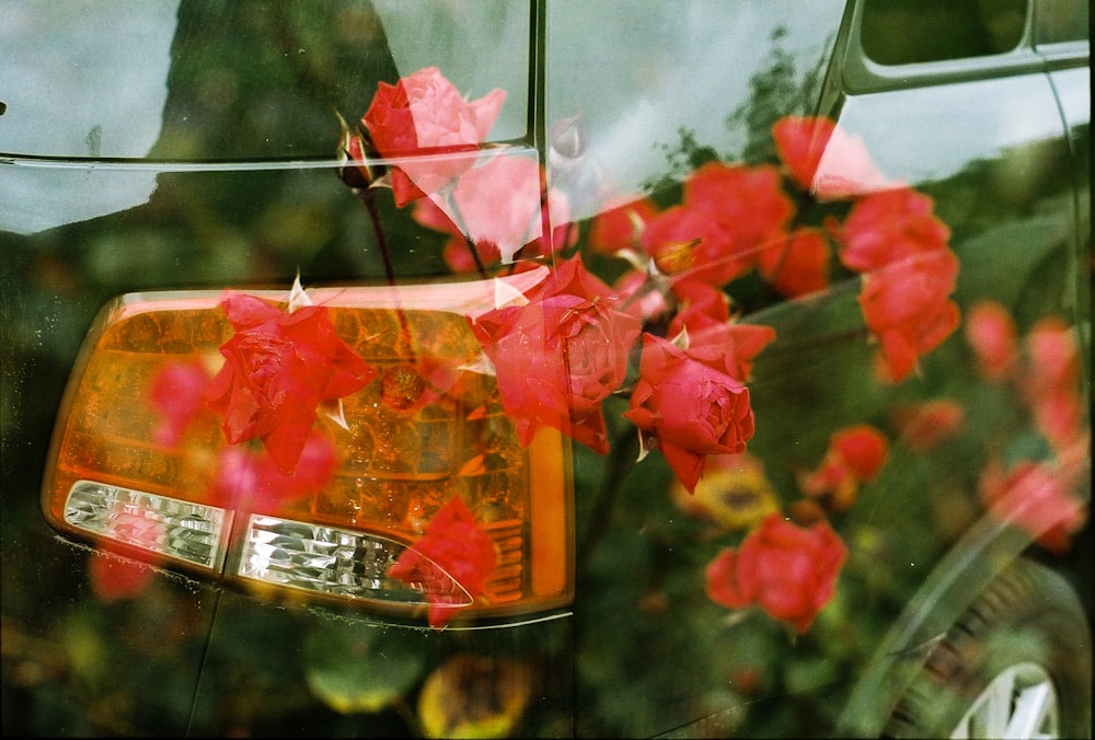 red flowers in clear glass jar