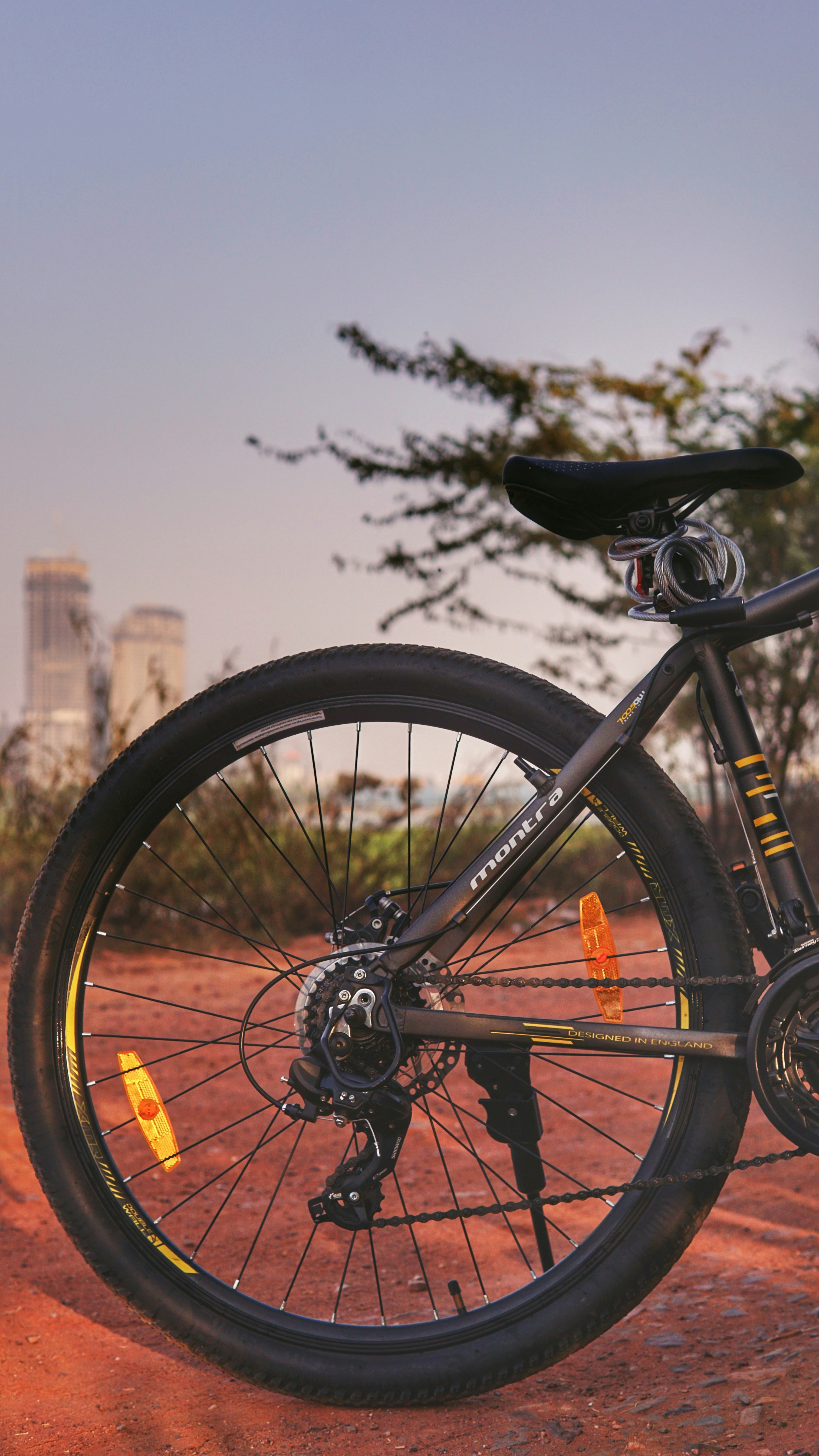 020 Social Media Challenge: Josh’s Wheeeeeelllll of Content