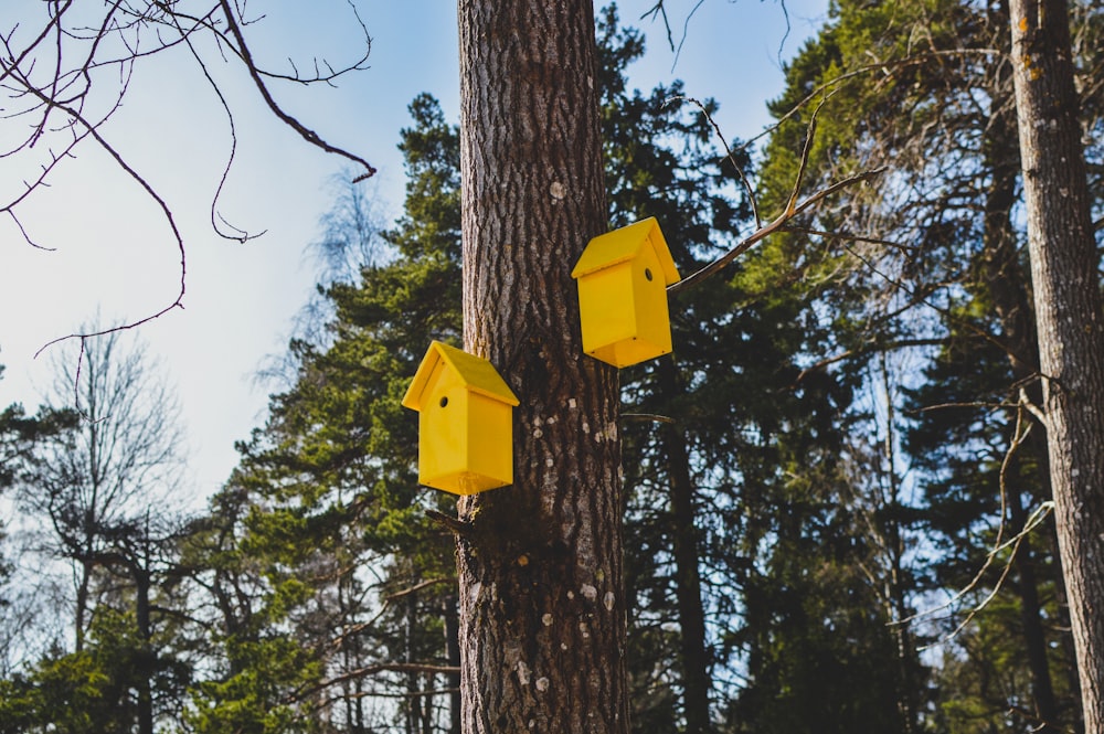 brown wooden birdhouse on tree