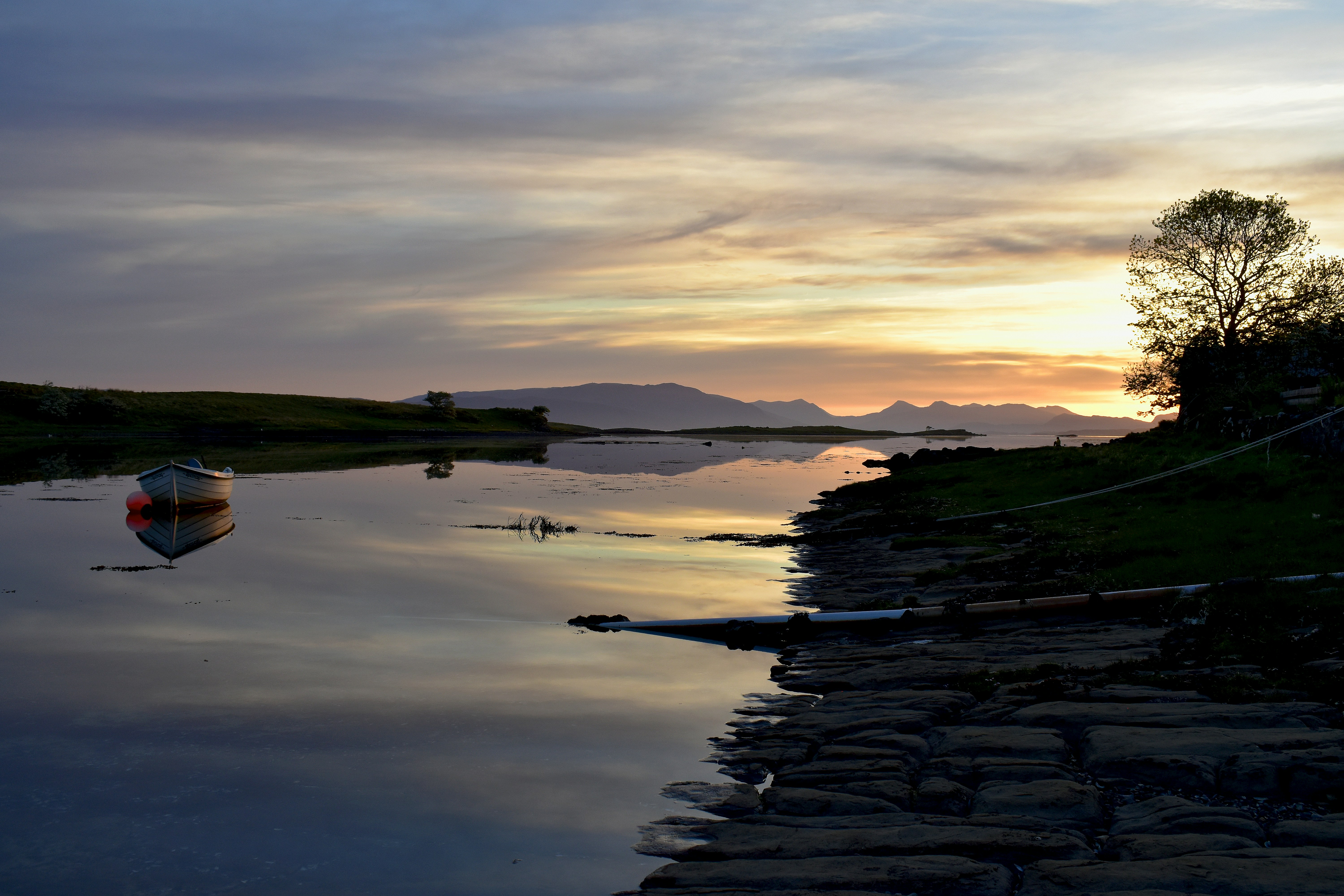 Photo by juansenales