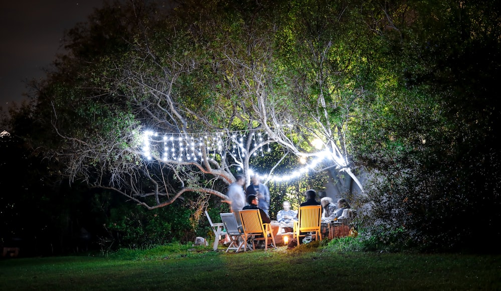 people sitting on brown wooden chairs under green trees during daytime