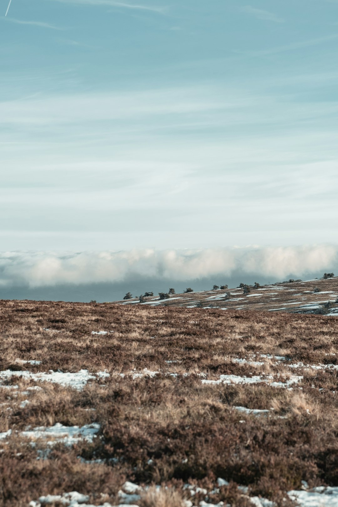 travelers stories about Tundra in Col des Supeyres, France