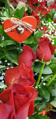 A romantic bouquet of red and pink roses with delicate greenery, perfect for expressing love.