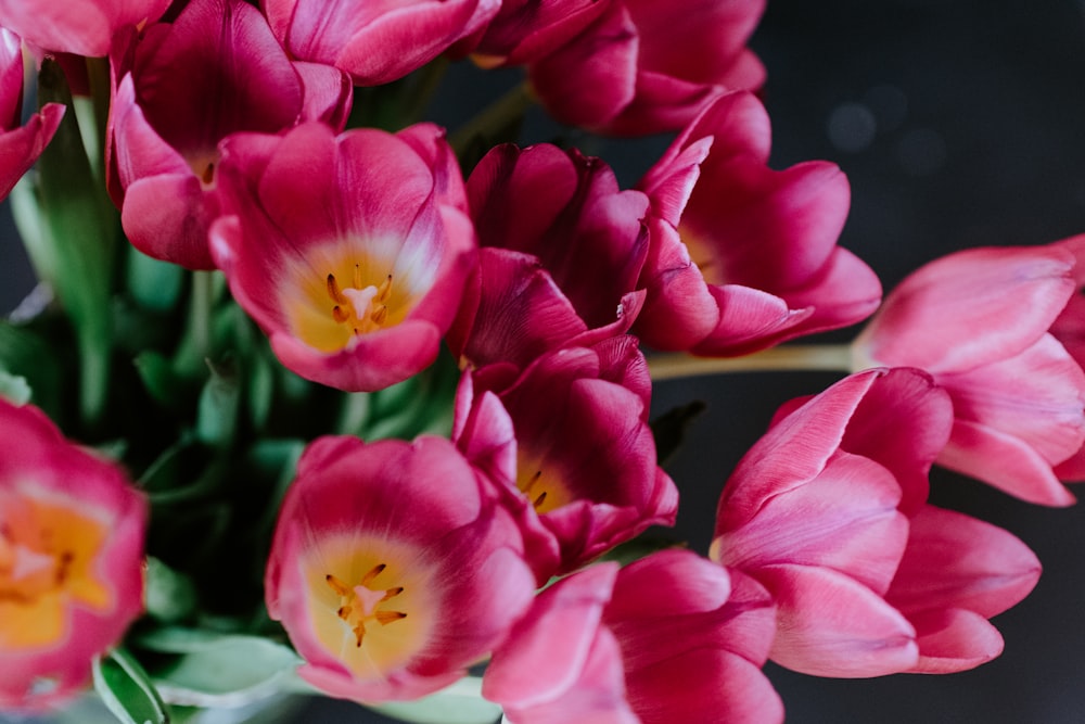 fleurs roses et jaunes dans une lentille à bascule