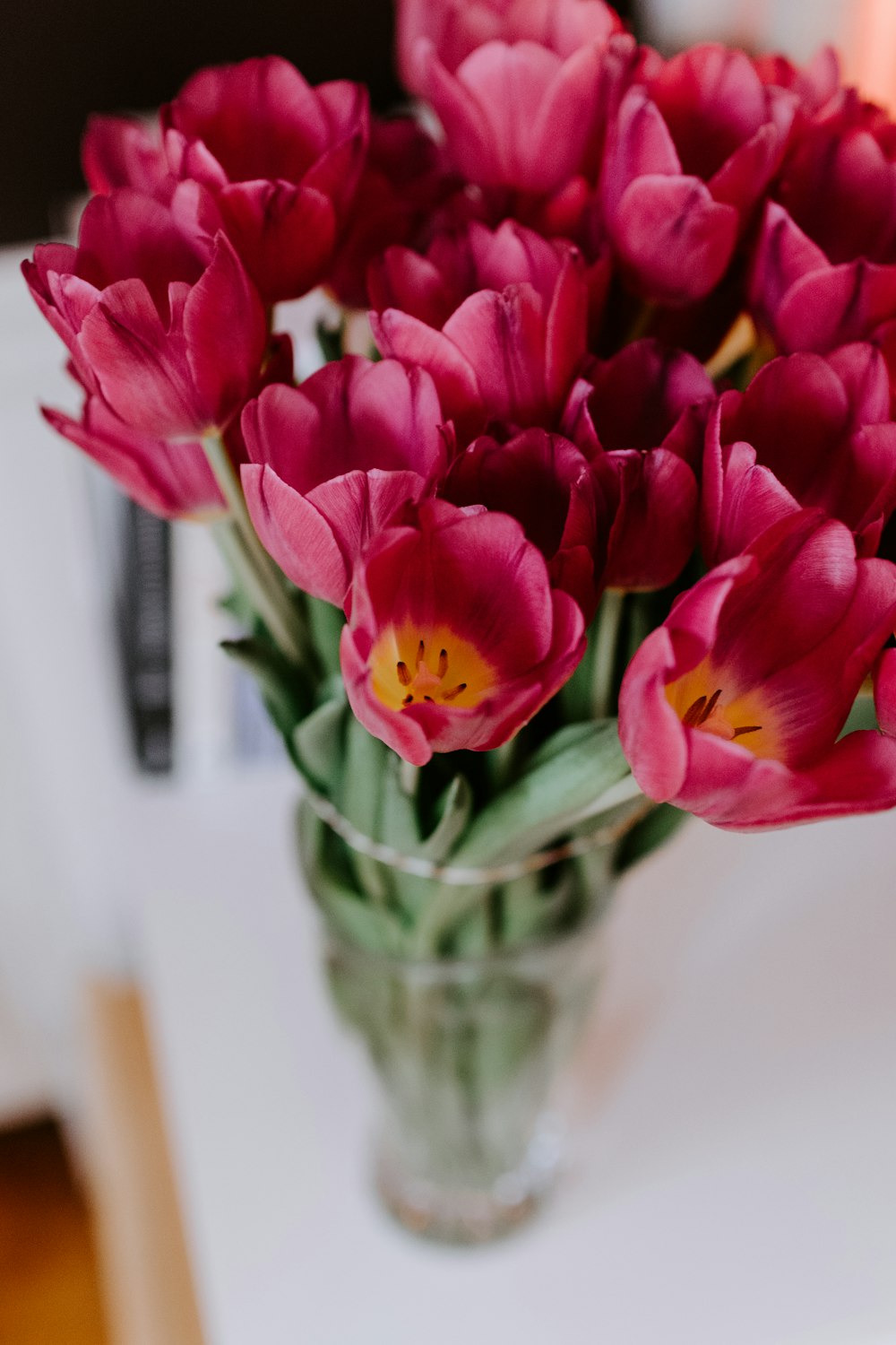 red tulips in clear glass vase