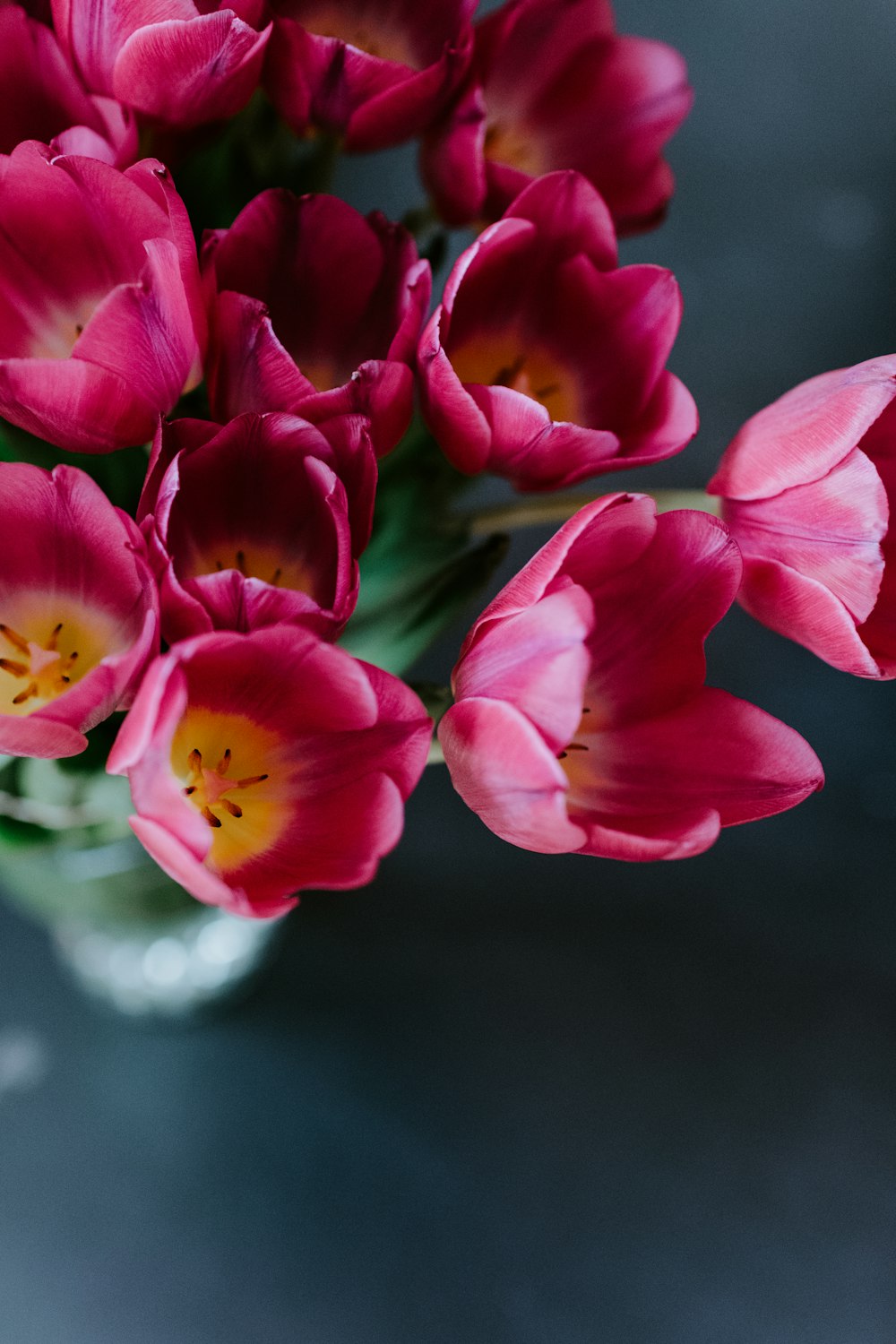 pink and yellow flowers in tilt shift lens