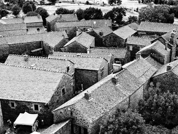 A panoramic view of a historic village with medieval architecture.