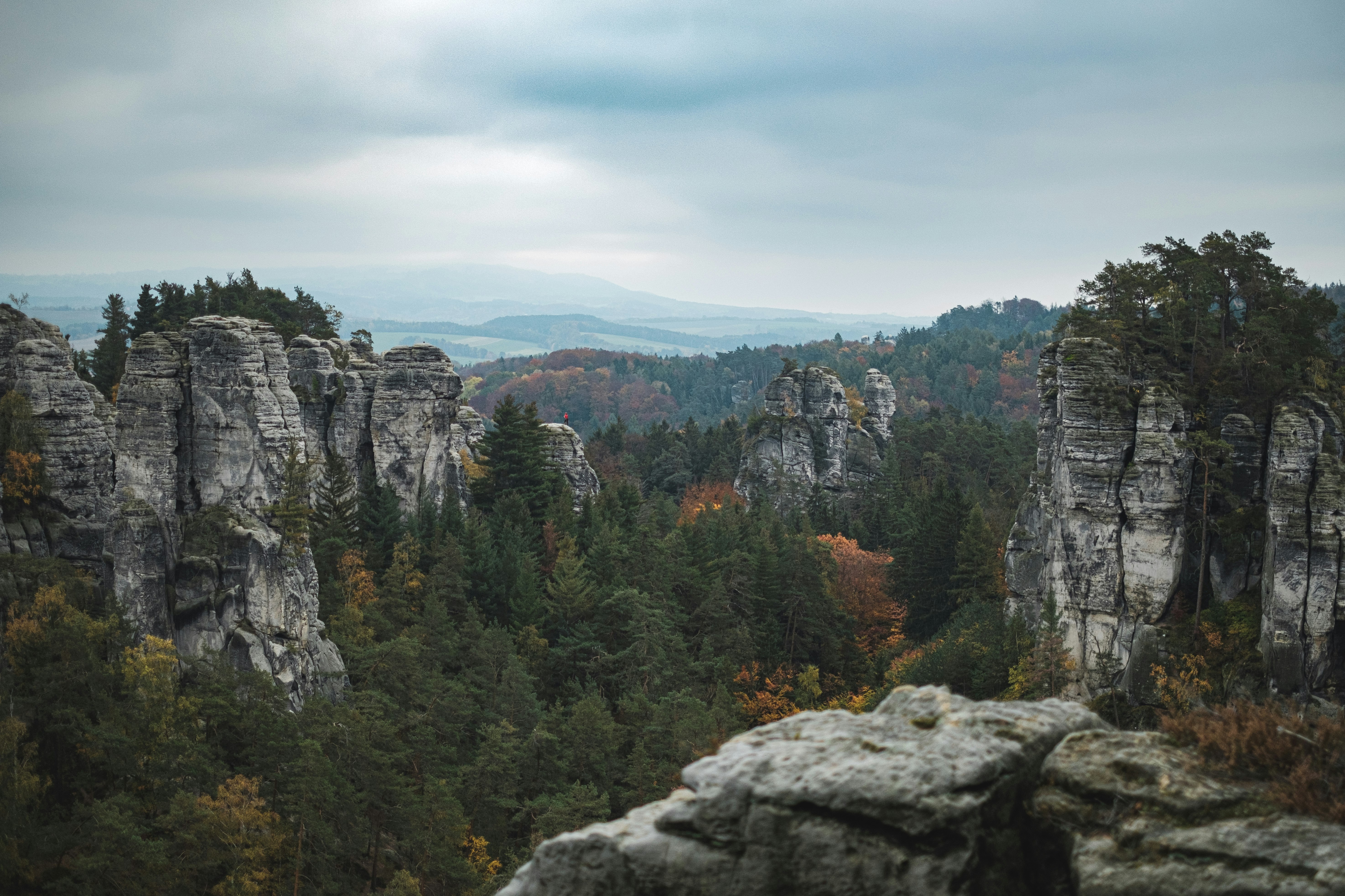 green and red trees on mountain under cloudy sky during daytime