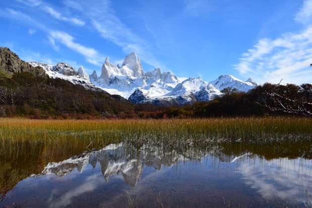 snow covered mountain near green trees and lake under blue sky during daytime