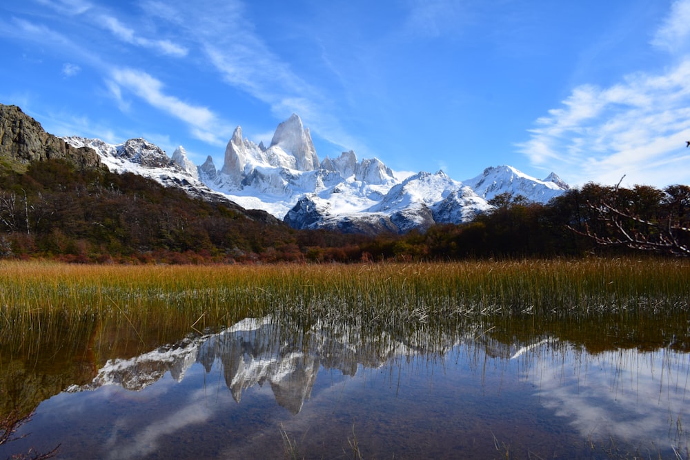 snow covered mountain near green trees and lake under blue sky during daytime